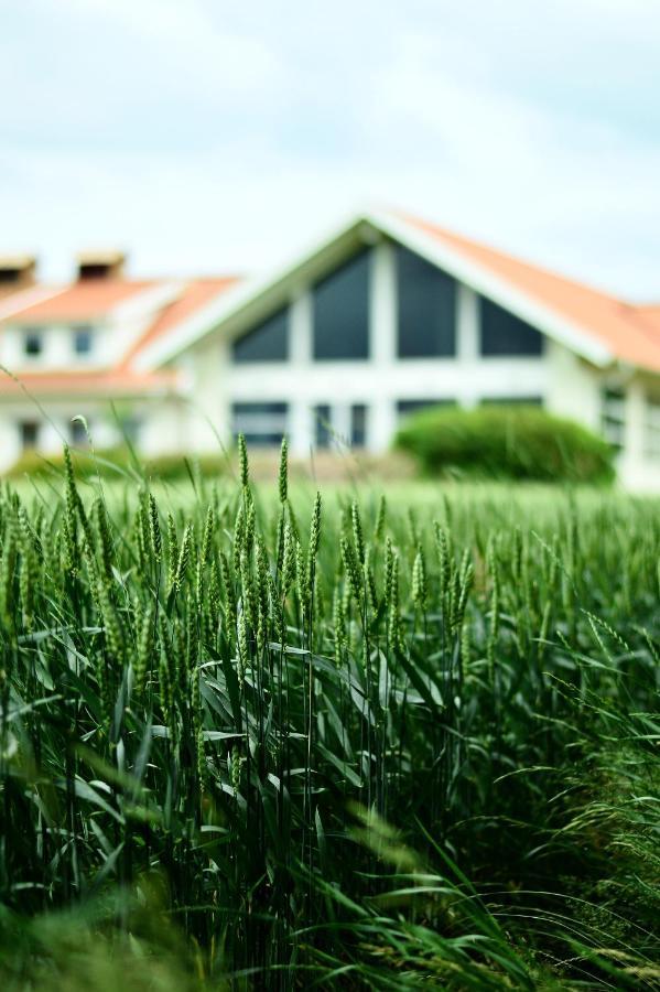 Katrinebergs Folkhoegskola B&B Vessigebro Extérieur photo